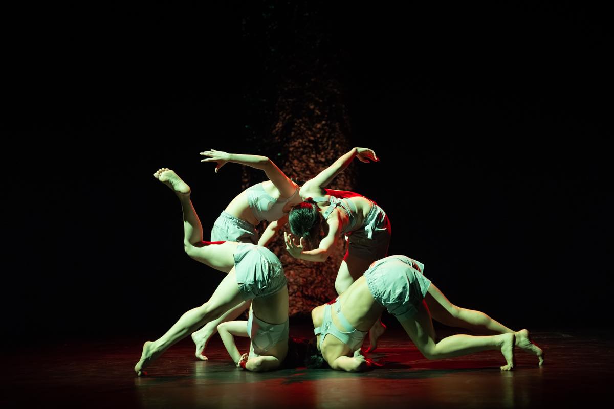 Dance Base Yokohama Wings 『R/evolution(s)』2025年愛知芸術劇場での初演の舞台&copy;Ethan Volberg　写真提供：Dance Base Yokohama